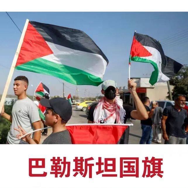 巴勒斯坦国旗世界各国国旗小国旗手摇旗红旗旗帜定制大号国旗