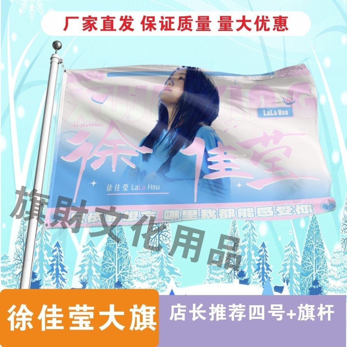 徐佳莹应援大旗线下综艺应援明星大旗户外音乐节应援旗定制