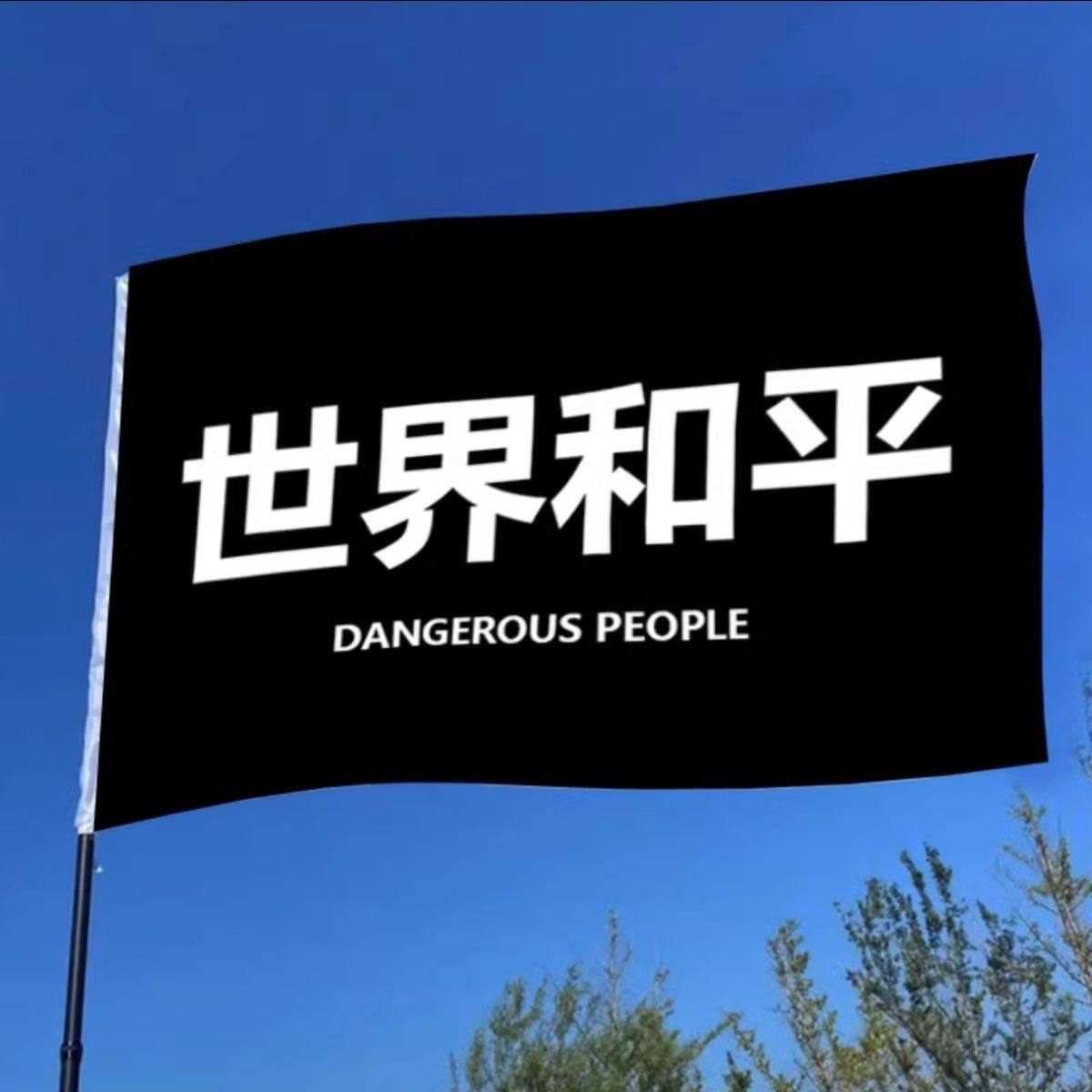 薛之谦世界和平应援大旗定制旗帜户外演唱会大旗音乐节大旗音乐会