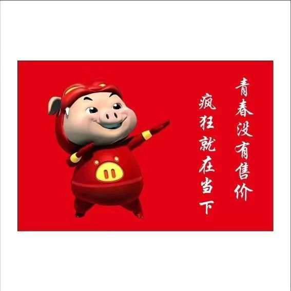 猪猪侠旗帜定做男神GG爆旗定制班旗团旗青春没有售价户外爬山大旗