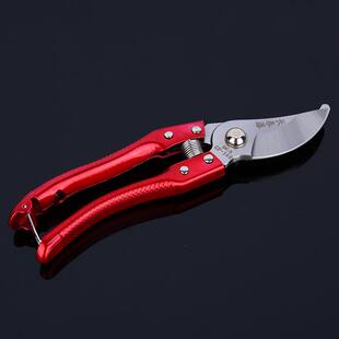 货源供应长春藤果枝剪 结实实用65锰钢镀铬刀头园林果树修枝剪