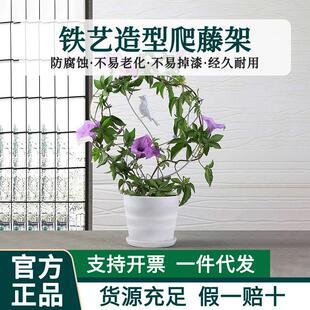 铁艺爬藤攀爬架造型山乌龟雪莹花盆阳台庭院用绿植盆景支架支撑杆