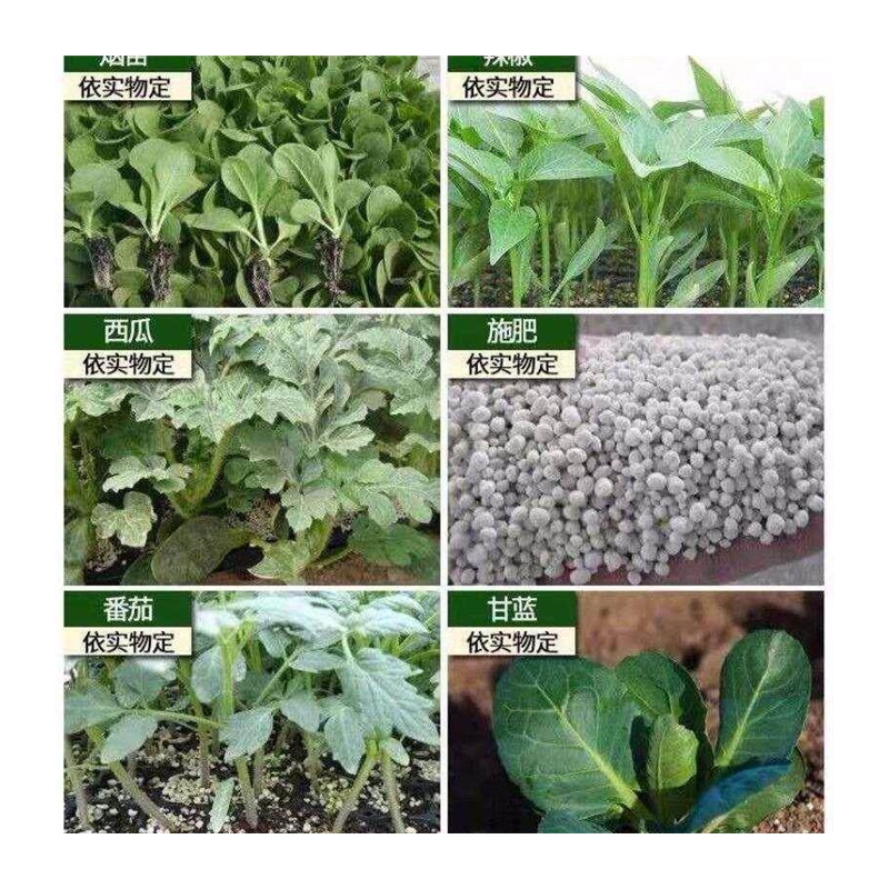 钻孔种辣椒移栽苗秒栽神器农用工具专用定植机打洞器打孔器农活