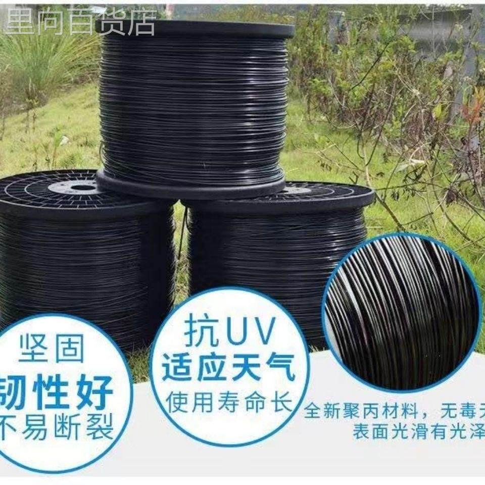 高强度塑DFT线大棚线百托膜线殖拉绳钢园艺线香果搭架专养用棚架