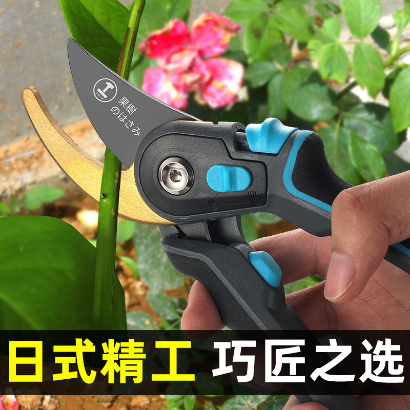 剪枝剪刀果树花剪园艺修枝剪家用省力园林剪果树修剪树枝工具
