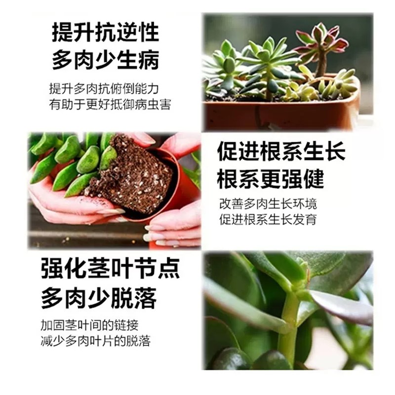 度夏宝多肉植物专用营养液抗热抗涝护理液家用盆栽植物通用免稀释
