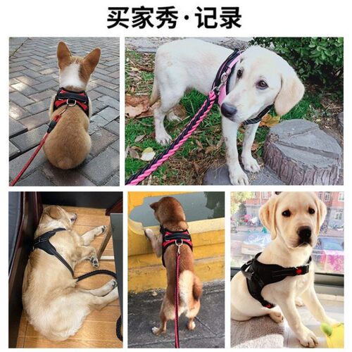好货Nylon Heavy Duty Dog Pet Harness Collar Adjustable Padde