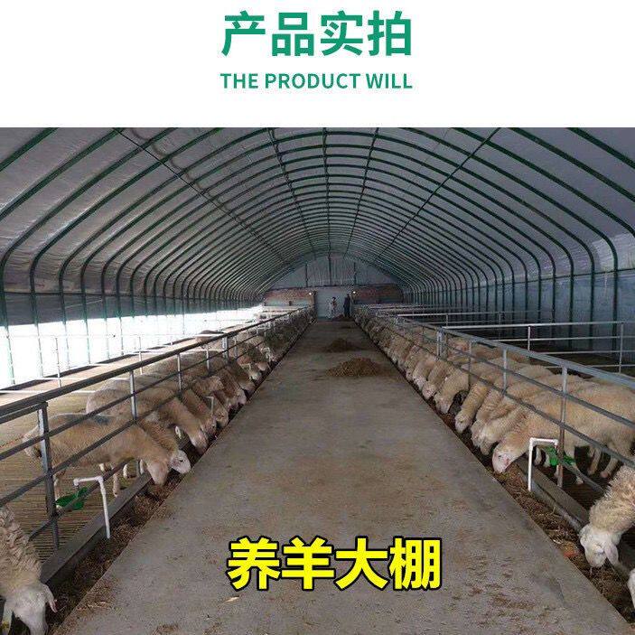 好货大棚卷膜器养殖大棚全套养鸡棚鸡舍猪棚牛棚羊棚鸭棚鹅棚养殖
