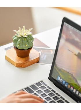 创意北欧多肉仙人掌盆栽迷你陶瓷摆饰客厅办公室车载桌面绿植装饰