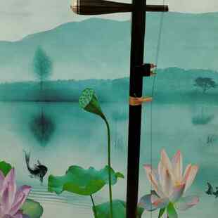 圆筒二胡仿生皮专业花大筒黑酸大筒黑酸枝仿生皮专业大筒