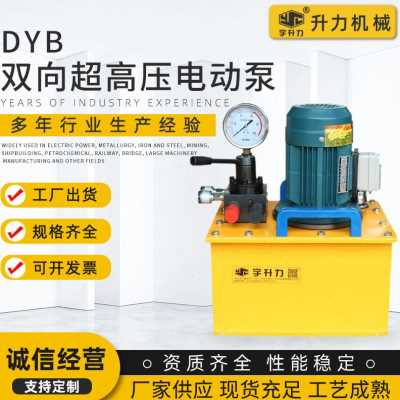 好货厂销DYB075双向超高压电动泵站千斤顶液压泵双油路液压电动泵