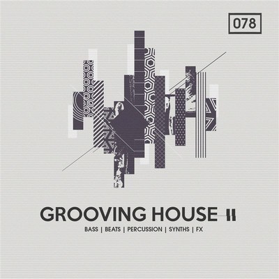 BINGOSHAKERZ Grooving House 2音色包鼓包采样Loop音源 Tech