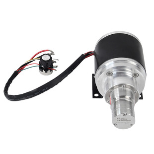 不锈钢齿轮泵驱动一体无刷计量泵可调速电机24v直流无刷水泵