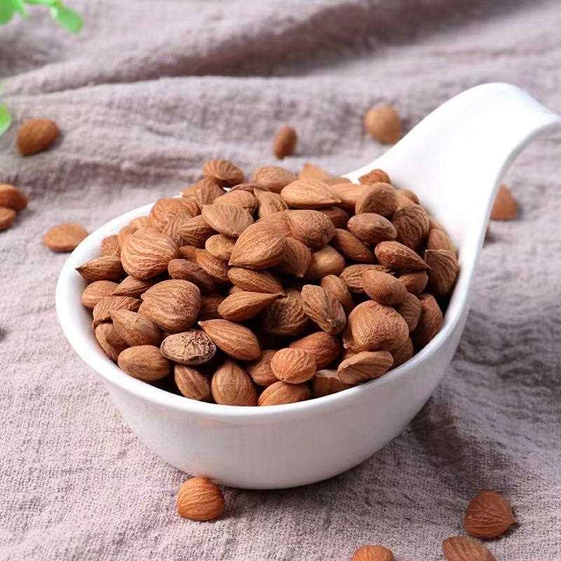 苦杏仁 新货 承德野山北杏仁坚果原味生的新鲜干货包邮