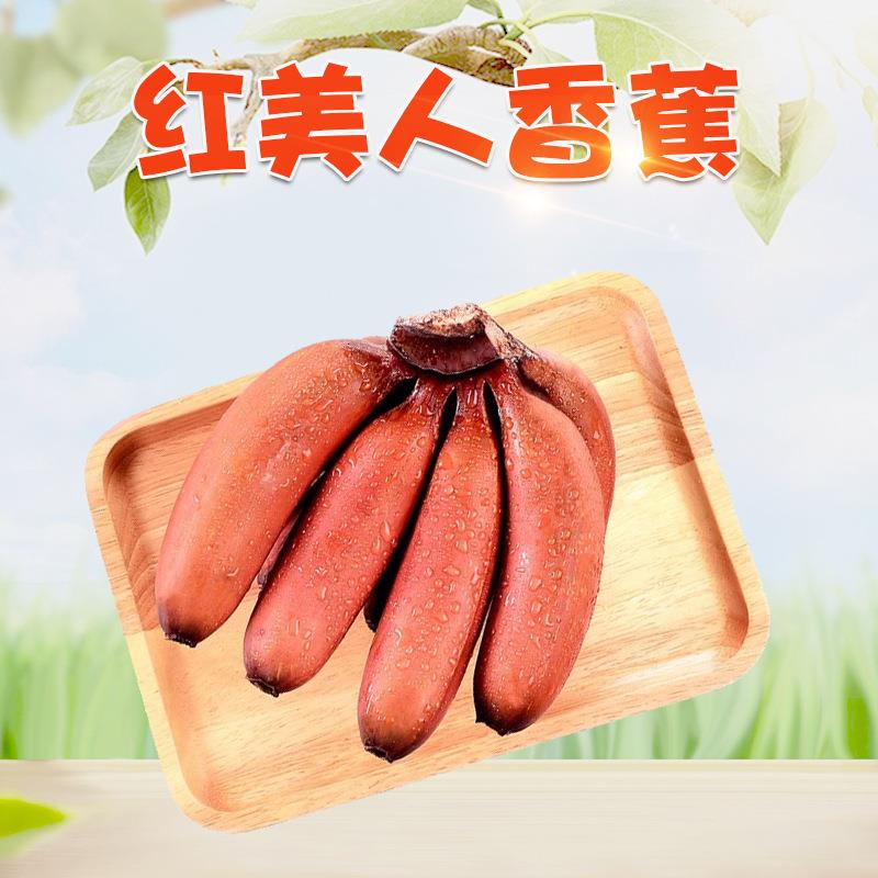 福建红皮香蕉 /5斤新鲜当季水果红美人香蕉非小米天宝蕉