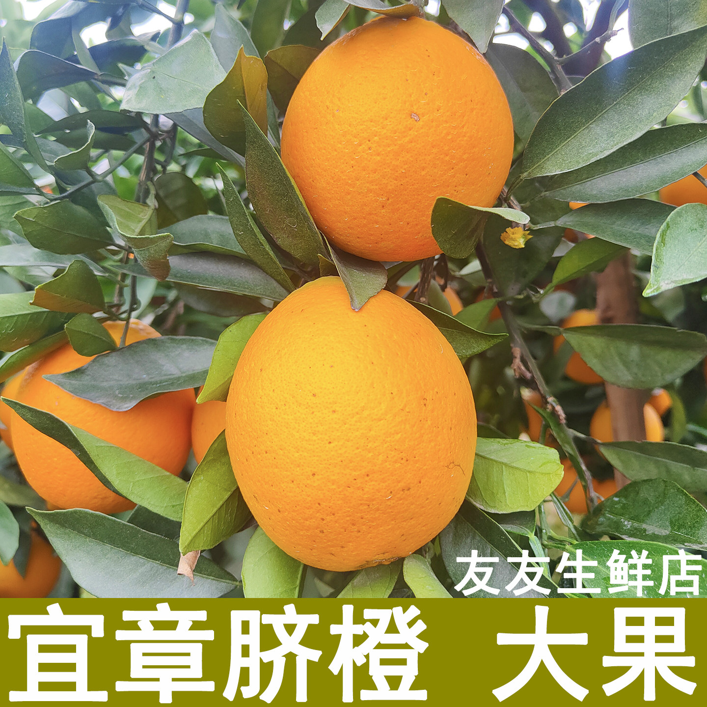 顺丰包邮宜章脐橙子20斤湖南郴州冰糖香甜橙子大果礼盒新鲜水果