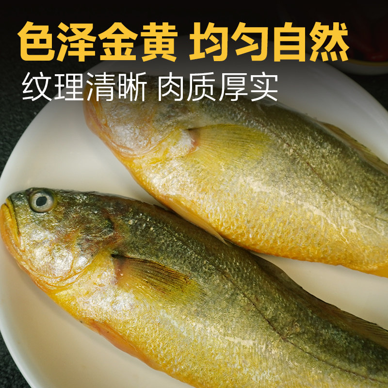 道良尚品深海半野生大黄鱼