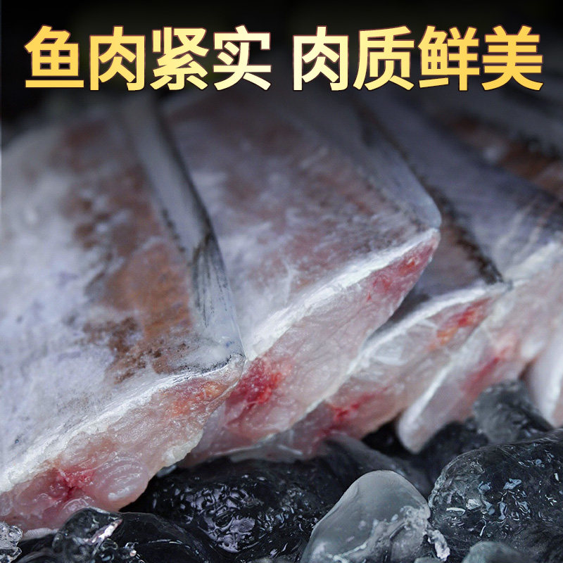 舟山带鱼新鲜冷冻刀鱼中段大号东海小眼深海油带鱼无冰顺丰包邮