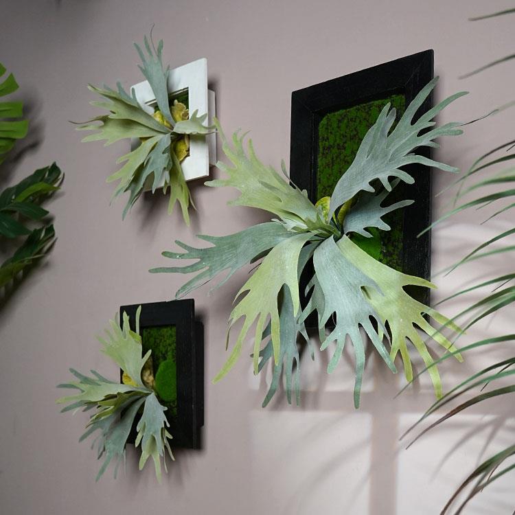 仿真植物壁挂蕨类绿植墙面装饰实木底座挂墙盆栽多肉垂吊木框装饰