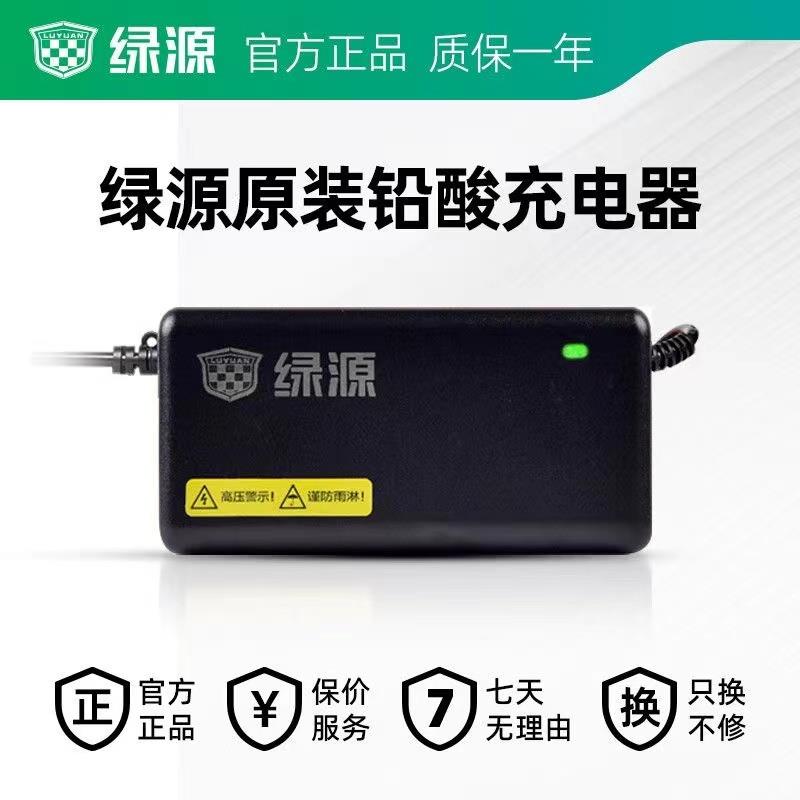 绿源原装电动车电瓶车智能充电器48V60V72V12/20AH-20E30E40E-T2T
