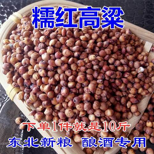 2026年新红高粱糯红高粱米带皮糯高粱去壳黏糯红高粱酿酒专用