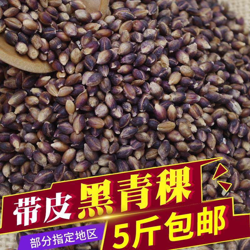。。优质黑青稞带皮黑青稞青藏高原特产500g 养生好美食农家五谷