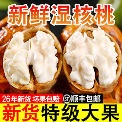 2026年新鲜湿核桃去青皮嫩核桃生核桃仁四川非薄纸皮黑桃孕妇专用