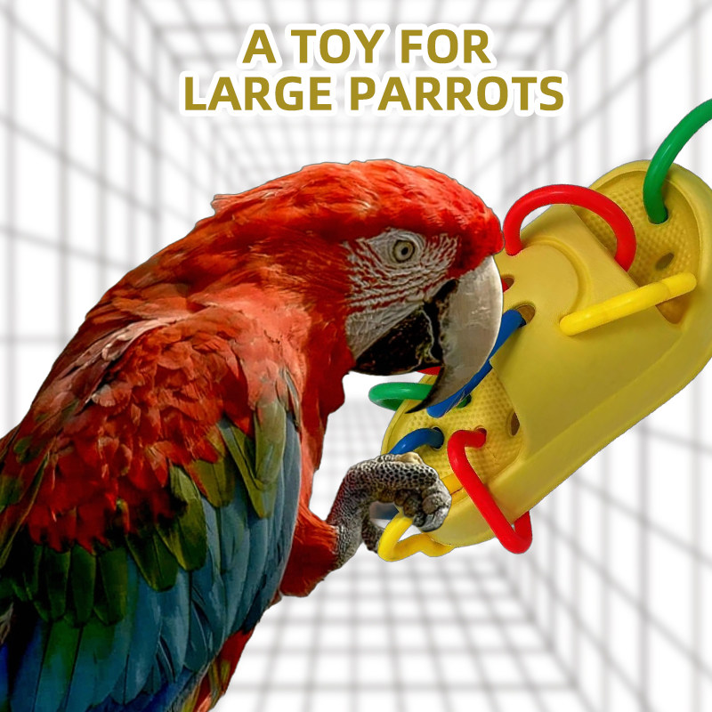 大型鹦鹉金刚鹦鹉大型鸟耐啃咬创意玩具悬挂玩具,宠物/宠物食品及用品,鸟玩具,淘宝优惠券,粉丝福利购,淘宝优惠卷