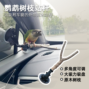牡丹玄凤鹦鹉训练互动外带树杈站杆可调车窗吸盘原木站鸟用品站架