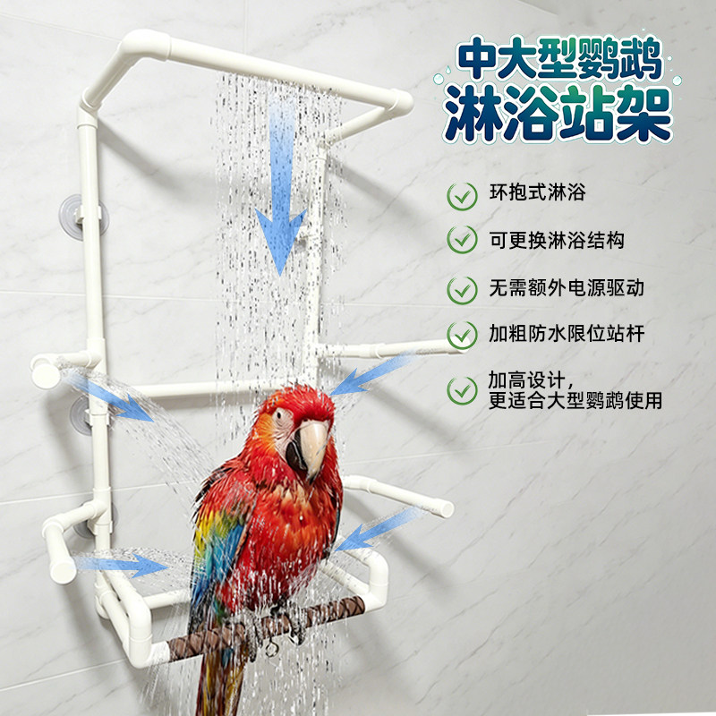 大型鹦鹉淋浴吸盘站架图片