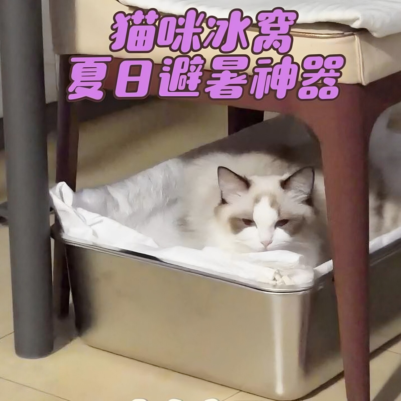 夏日不锈钢冰感降温双层猫窝图片