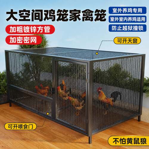 室外养鸡专用笼鸡笼子方管防雨农