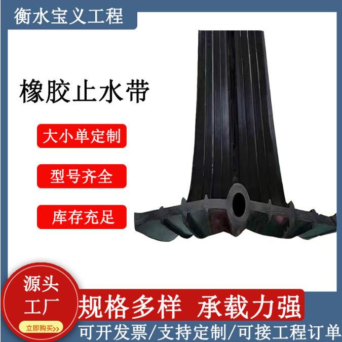 橡胶止水带中埋外背贴止水带隧道水渠变形缝遇水膨胀橡胶止水带