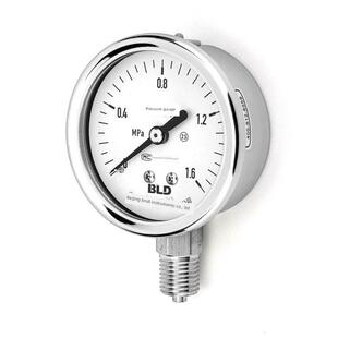 Bld北京布雷迪Yth-063全不锈钢压力表直径级2.5耐高温M14*1.5蒸汽