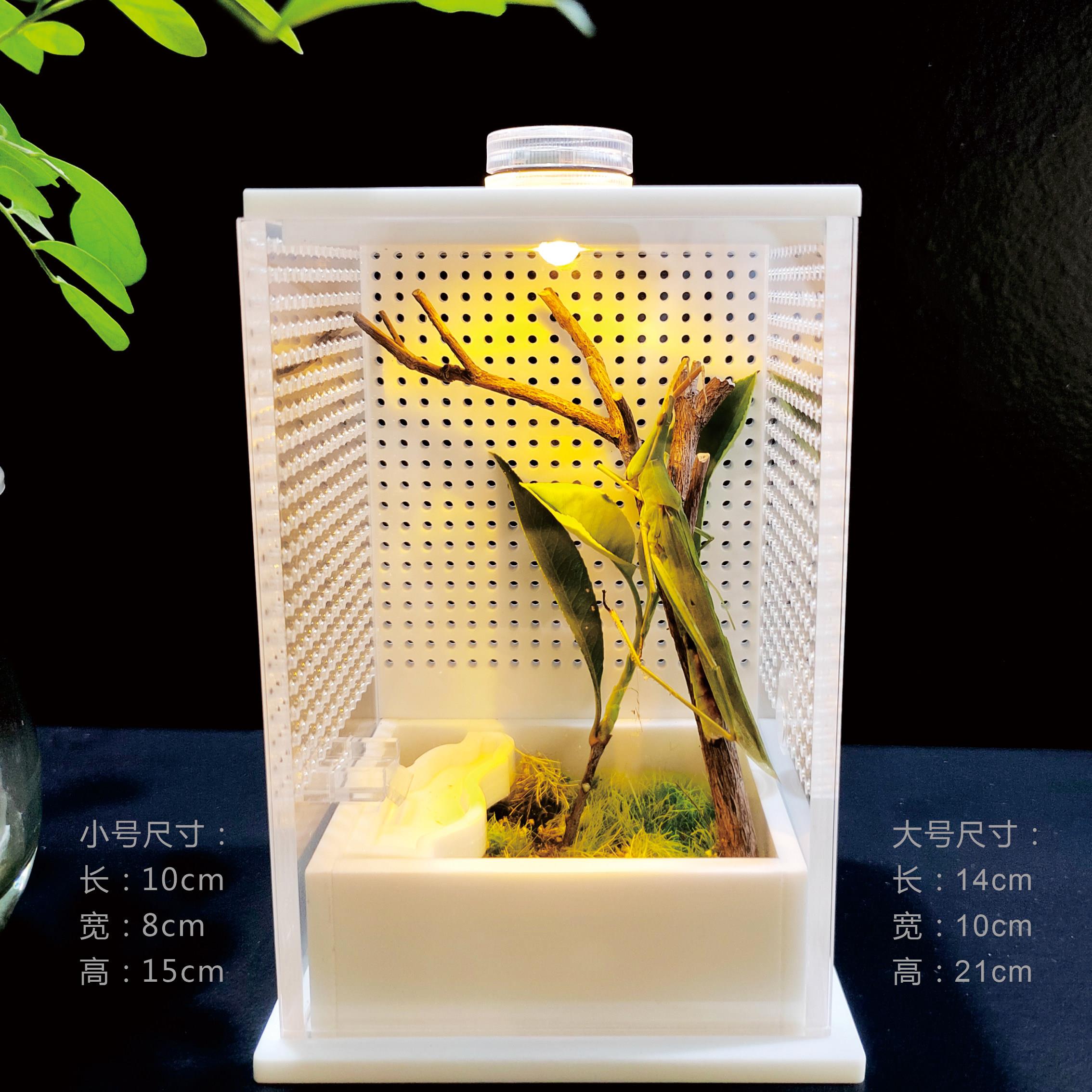 螳螂饲养盒蚂蚱造景版活体昆虫树蛙爬虫鸣虫跳蛛宠物亚克力饲养箱