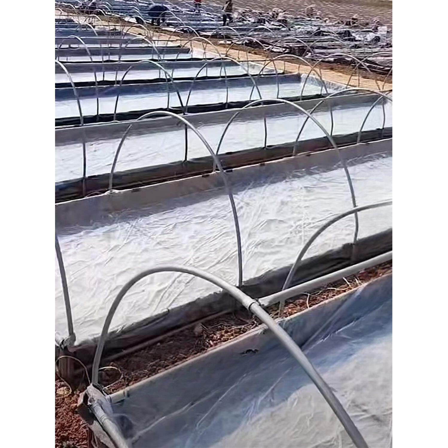 育苗小棚农用育烟苗圆盘拱棚蔬菜保温菜苗烟叶家用防雨新款 全套