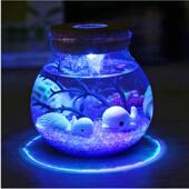 创意生日礼物女生许愿 瓶玻璃瓶闺蜜同学耶诞抖音实用小夜灯摆件