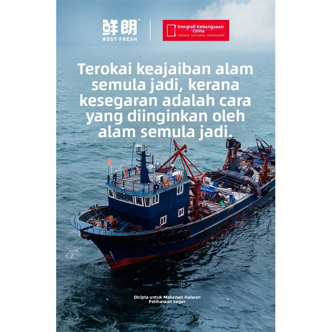 鲜朗低温烘焙猫粮天然无谷幼猫成猫蓝猫全阶段专用试吃装