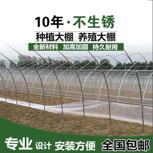 大棚骨架种植大棚温室加厚养殖种植户外家用连体连栋椭圆管棚全套