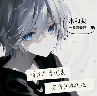 陪伴说话/配聊天/哄睡/连麦/语音/失恋