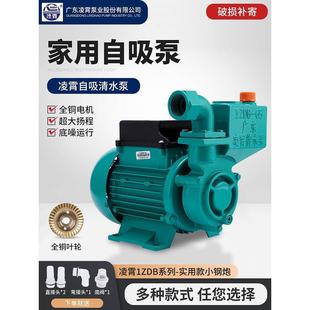 凌霄水泵1ZDB型增压泵家用全自动加压泵农用灌溉抽水泵井水自吸泵