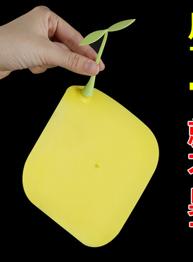 速发地漏防下器防盖虫堵口器卫生间防反味神器除臭地漏盖臭水道防