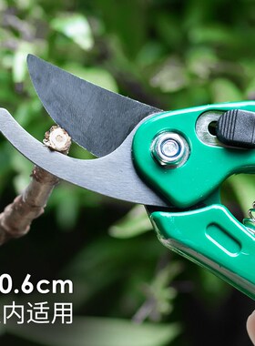 速发家CHO园艺剪刀剪用可悬挂花E果树插花盆栽专用剪子强力修枝剪