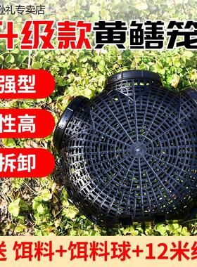 速发水蛭抓捉笼宽体金线水蛭诱捕工具大蚂蝗捕捉笼大水蛭捕捕神器