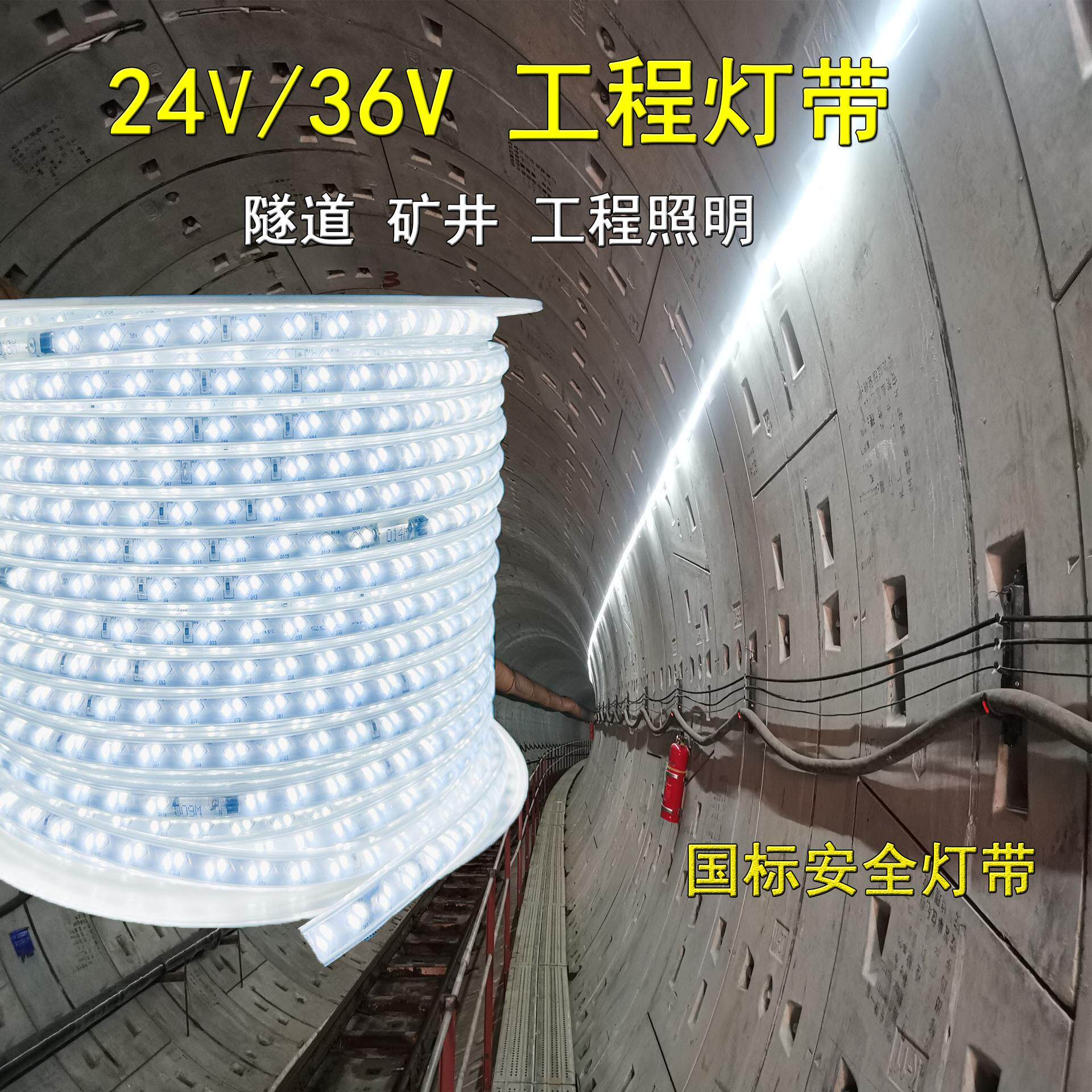 24v36V灯带低压led单双排户外防水工程隧道地下室工地造船厂照明