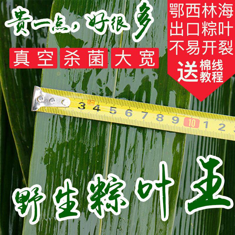 端午粽叶粽子叶鲜大号箬竹叶保鲜家用大棕叶真空厂家竹木竹制