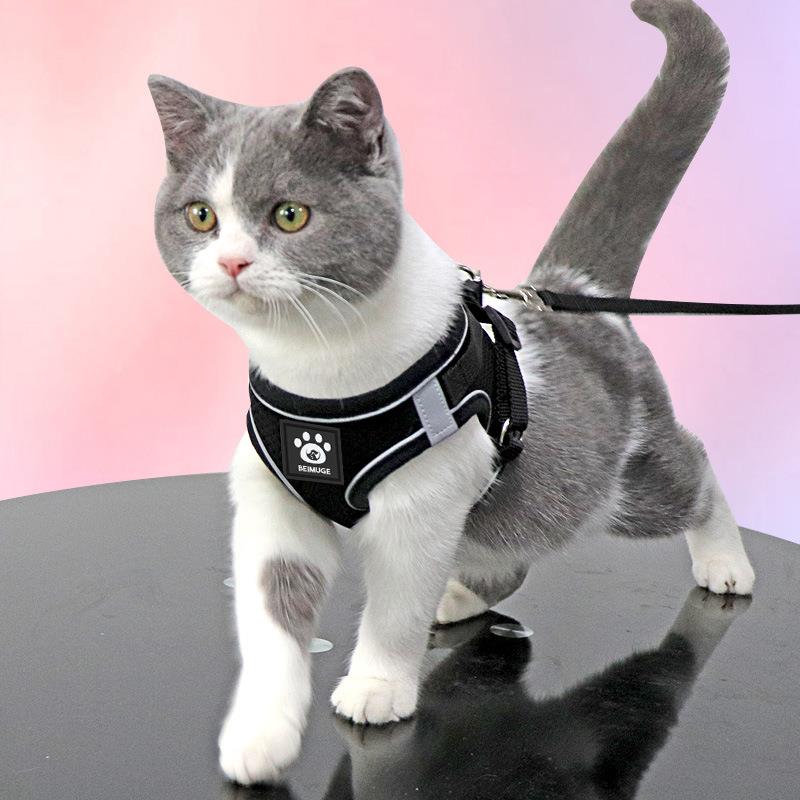 猫咪牵引绳防挣脱背心式网红遛猫绳英短外出专用猫链子宠物胸背带