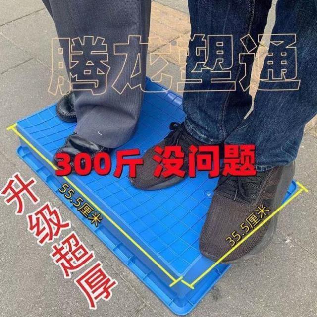 塑料养殖箱黄粉虫养殖盒蛋白虫养殖盒大麦虫养殖盒周转箱收纳盒