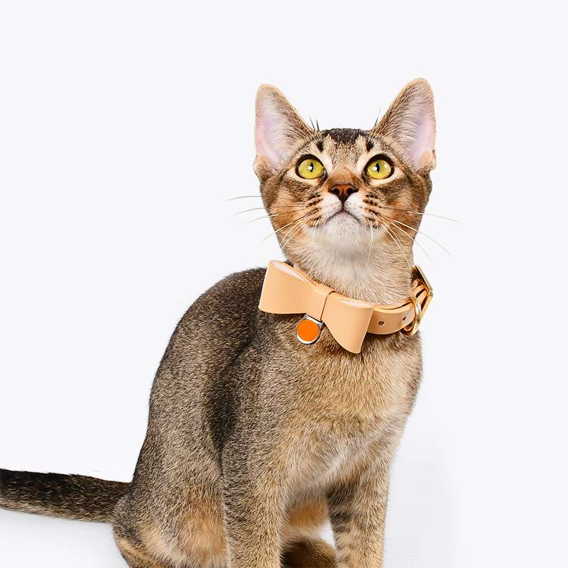 Loudik工厂 狗狗猫咪胸背带宠物牵引绳猫项圈溜猫绳小型犬跨境