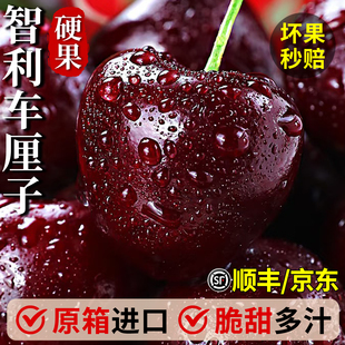 智利进口车厘子新鲜水果包邮5斤装礼盒樱桃桑提娜3j4j5j顺丰现货